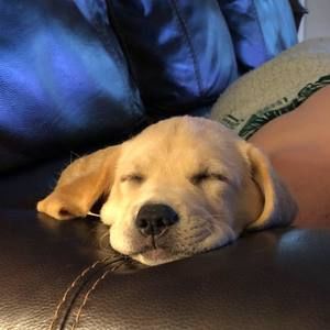 Meet your Posher, Kelly